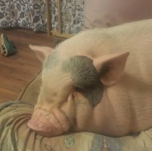 Meet your Posher, Felicia